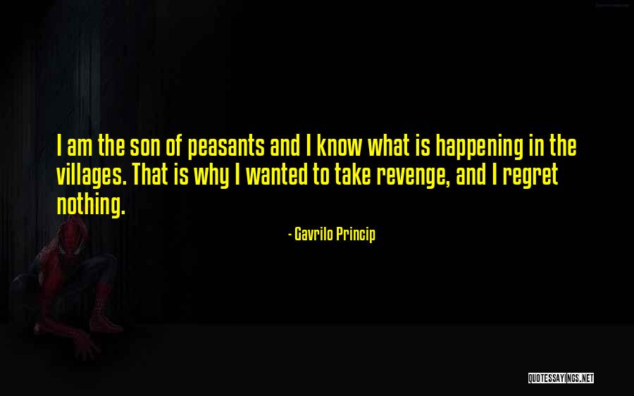 Unitime Software Quotes By Gavrilo Princip Unitime Software Quotes By Gavrilo Princip