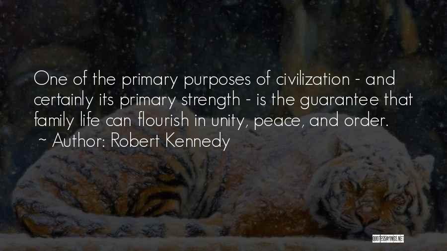 Unity And Strength Quotes By Robert Kennedy