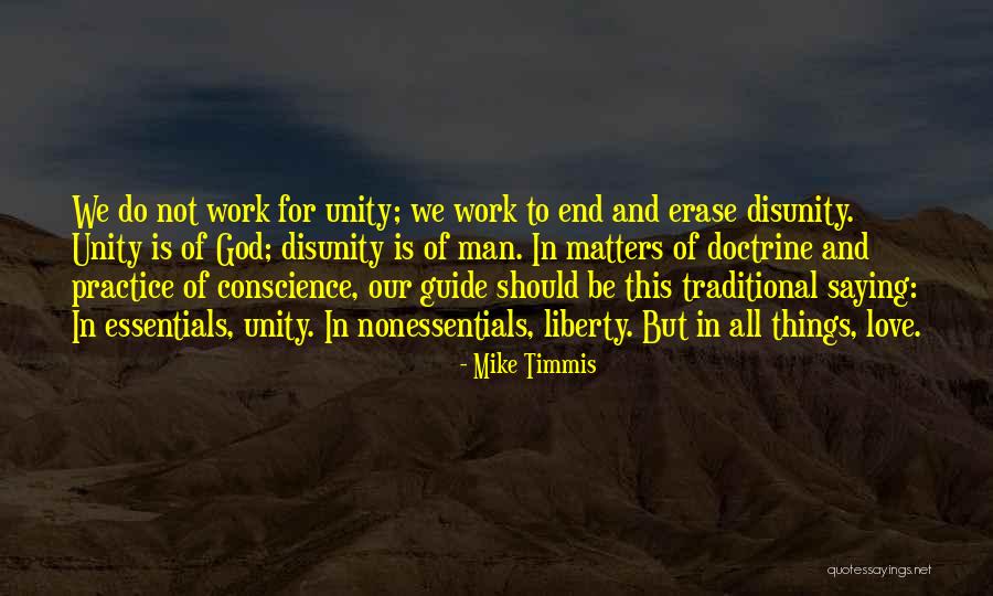 Unity In Work Quotes By Mike Timmis