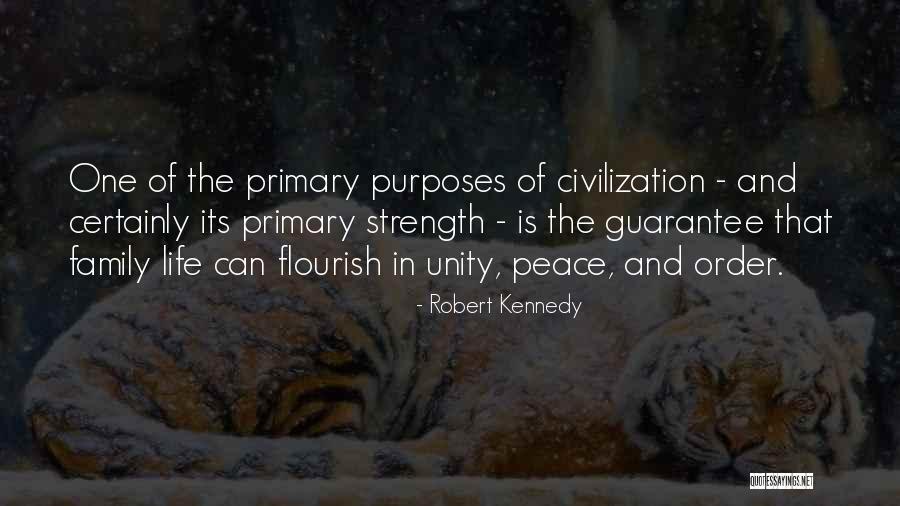 Unity Is Strength Quotes By Robert Kennedy