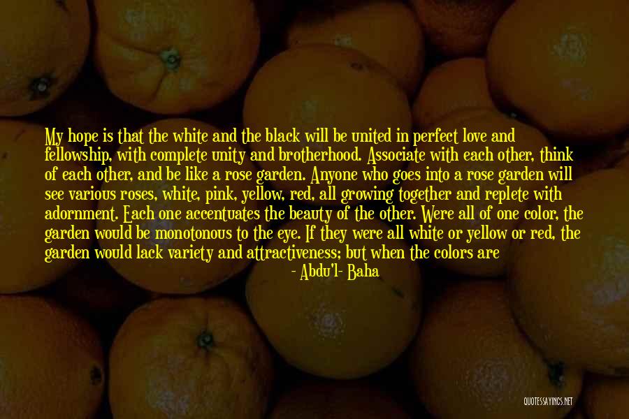 Unity Of All People Quotes By Abdu'l- Baha