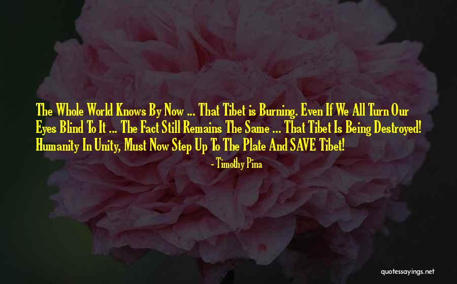 Unity Of Humanity Quotes By Timothy Pina Unity Of Humanity Quotes By Timothy Pina