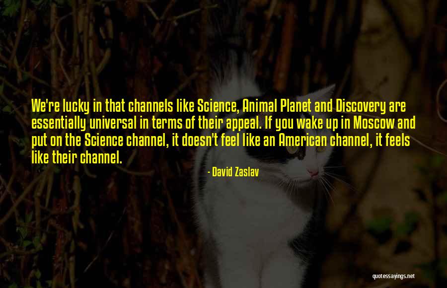 Universal Appeal Quotes By David Zaslav Universal Appeal Quotes By David Zaslav
