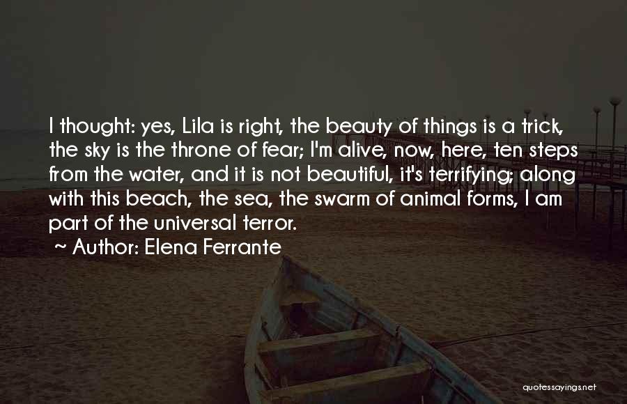 Universal Beauty Quotes By Elena Ferrante