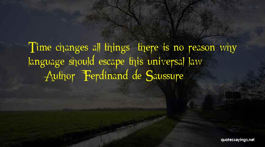 Universal Language Quotes By Ferdinand De Saussure