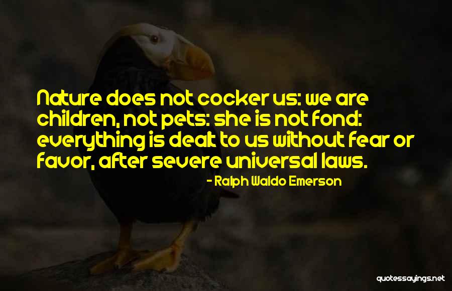 Universal Laws Quotes By Ralph Waldo Emerson