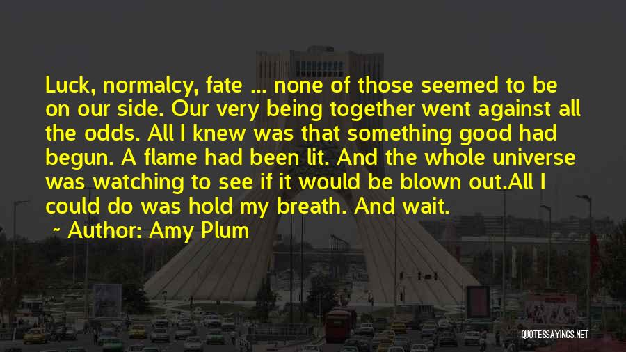 Universe And Fate Quotes By Amy Plum