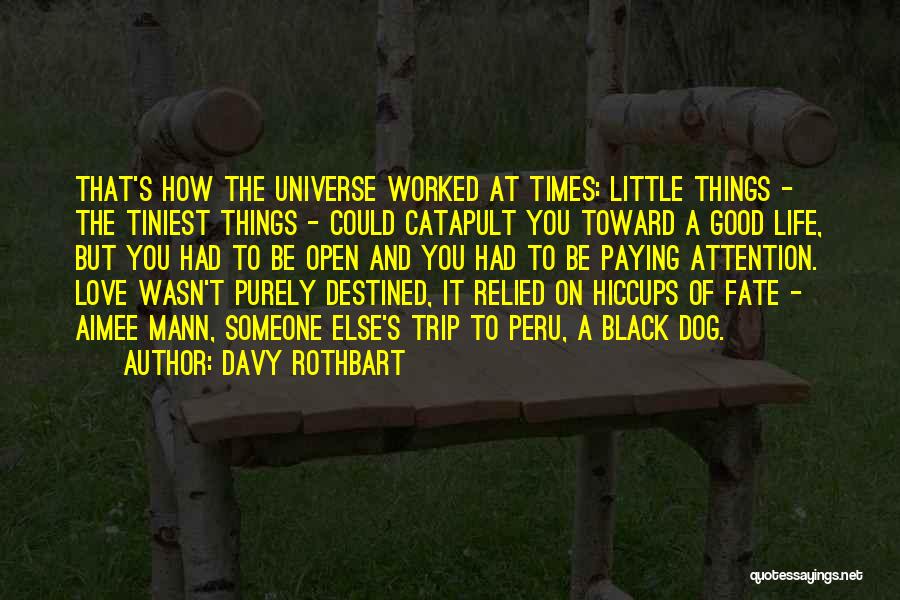 Universe And Fate Quotes By Davy Rothbart