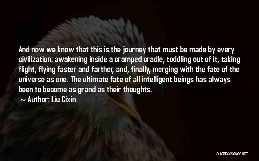 Universe And Fate Quotes By Liu Cixin