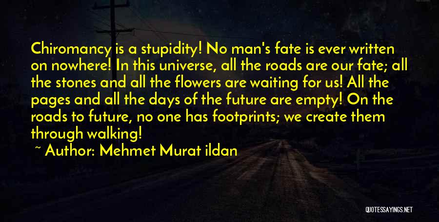 Universe And Fate Quotes By Mehmet Murat Ildan