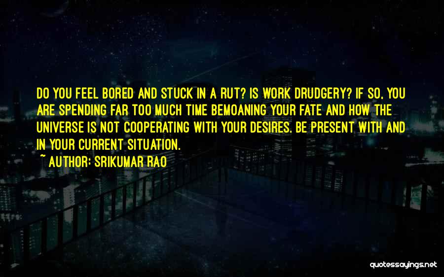 Universe And Fate Quotes By Srikumar Rao