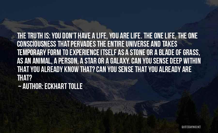 Universe And Galaxy Quotes By Eckhart Tolle