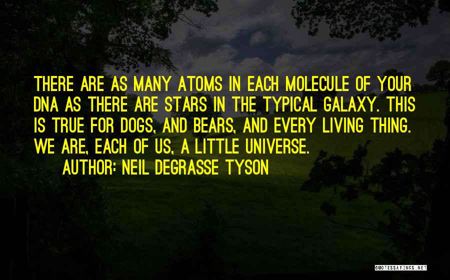 Universe And Galaxy Quotes By Neil DeGrasse Tyson