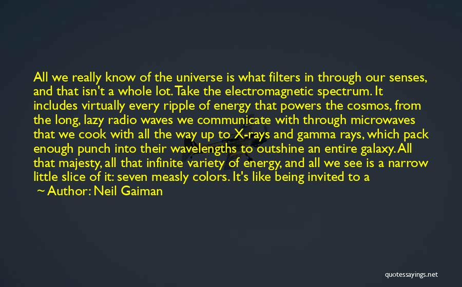 Universe And Galaxy Quotes By Neil Gaiman