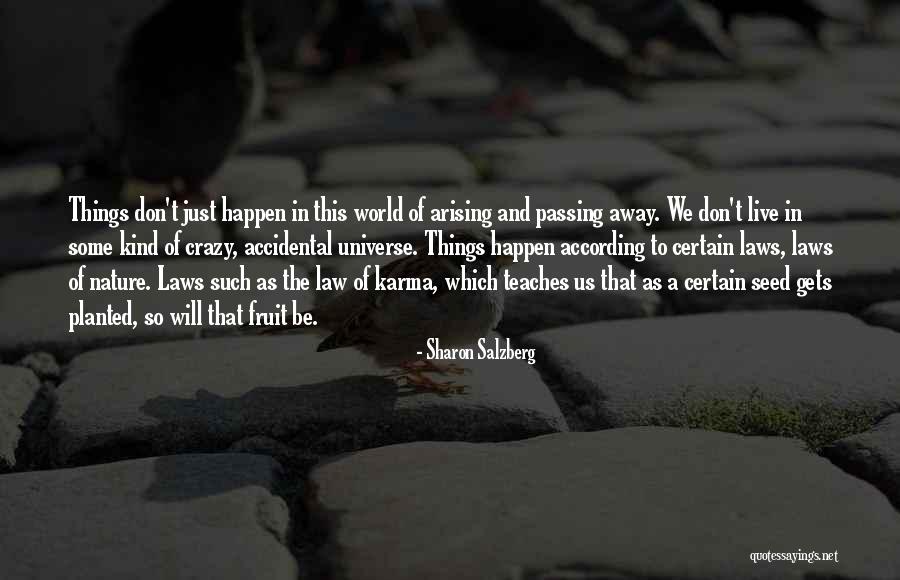 Universe And Karma Quotes By Sharon Salzberg