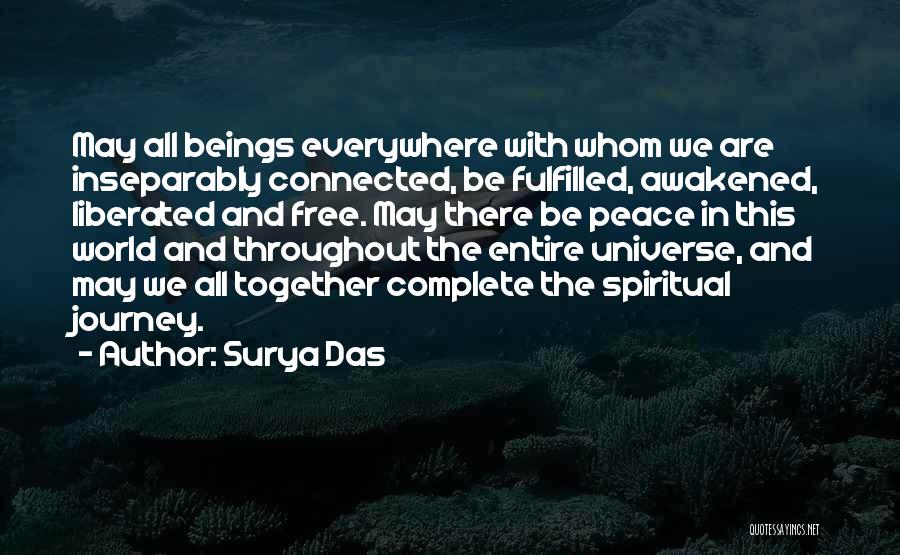 Universe Connected Quotes By Surya Das