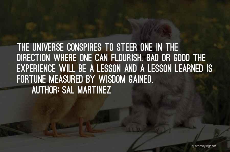 Universe Conspires Quotes By Sal Martinez