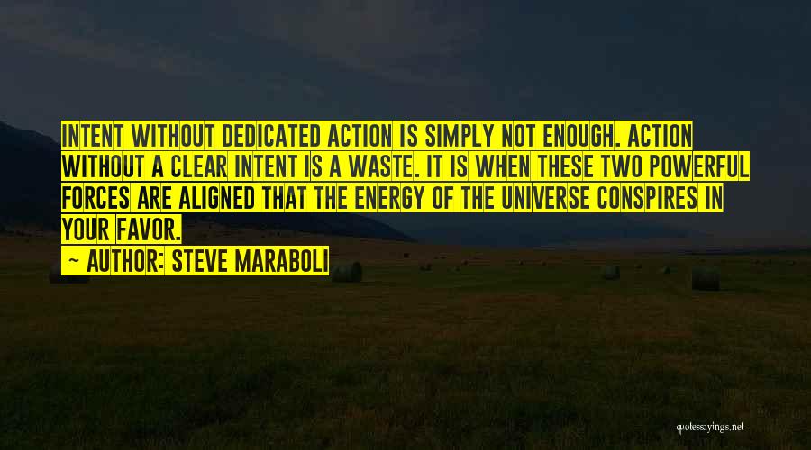Universe Conspires Quotes By Steve Maraboli