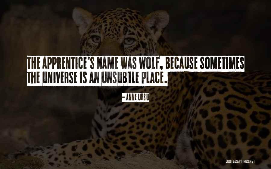 Universe Funny Quotes By Anne Ursu Universe Funny Quotes By Anne Ursu