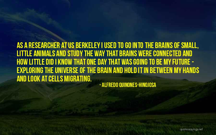 Universe In Us Quotes By Alfredo Quinones-Hinojosa Universe In Us Quotes By Alfredo Quinones-Hinojosa