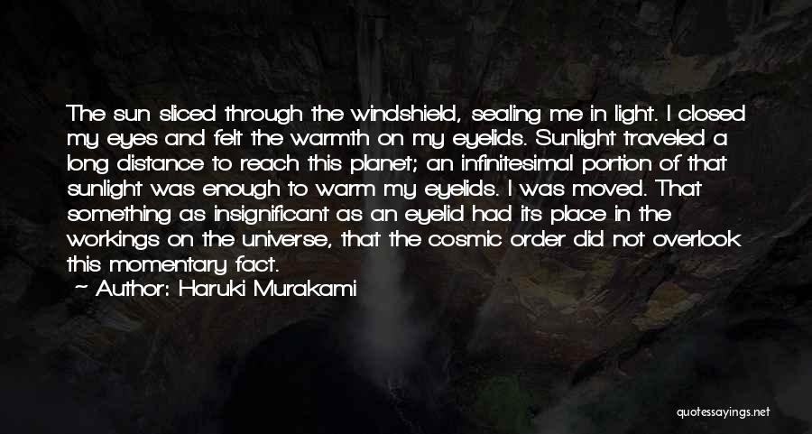 Universe Insignificant Quotes By Haruki Murakami