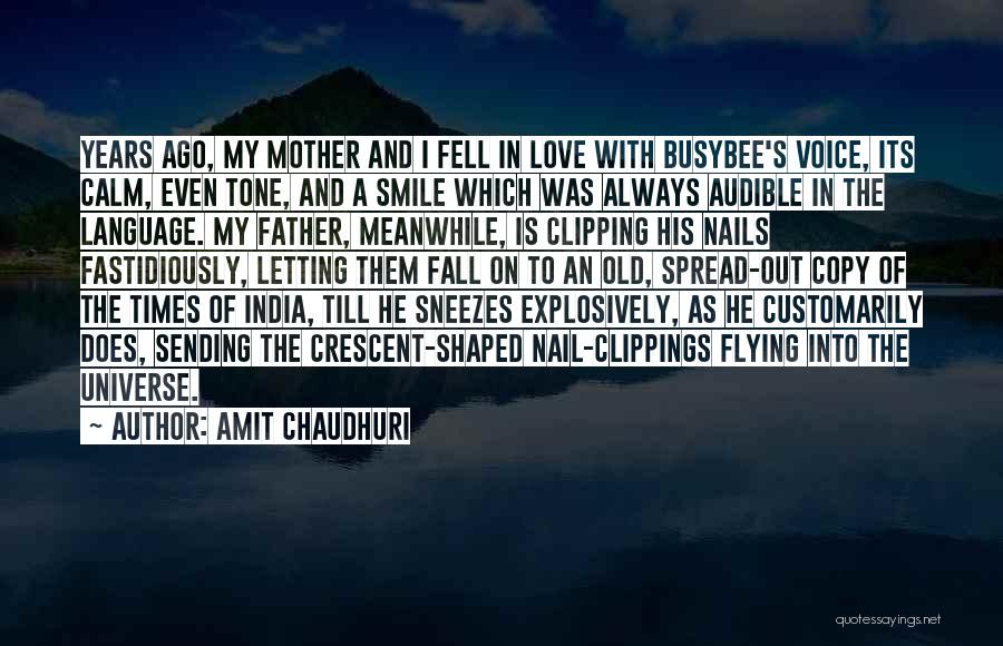 Universe Love Quotes By Amit Chaudhuri