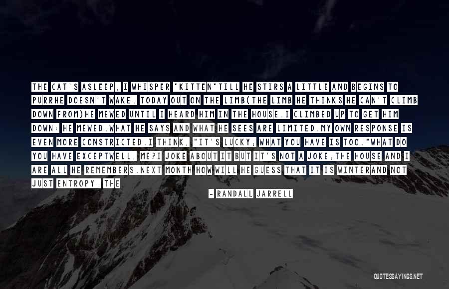Universe Says Quotes By Randall Jarrell Universe Says Quotes By Randall Jarrell