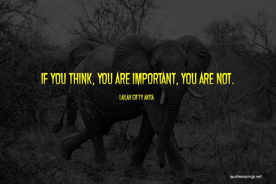 Universe Toyota Quotes By Lailah Gifty Akita Universe Toyota Quotes By Lailah Gifty Akita