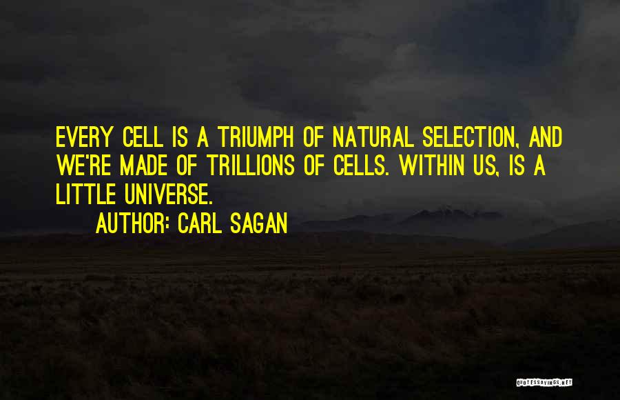 Universe Within Us Quotes By Carl Sagan
