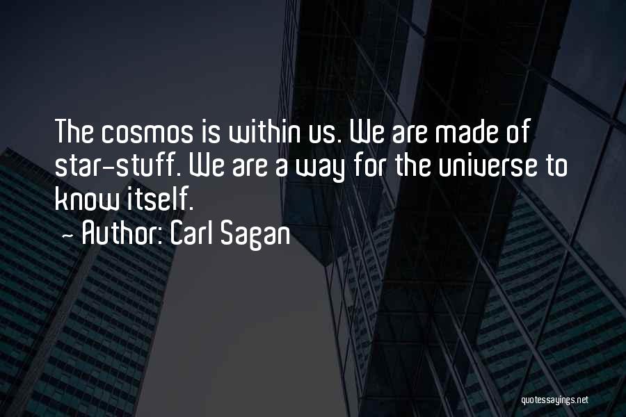 Universe Within Us Quotes By Carl Sagan