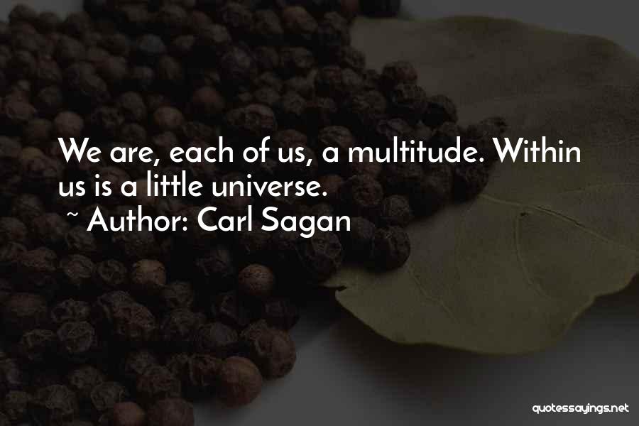 Universe Within Us Quotes By Carl Sagan