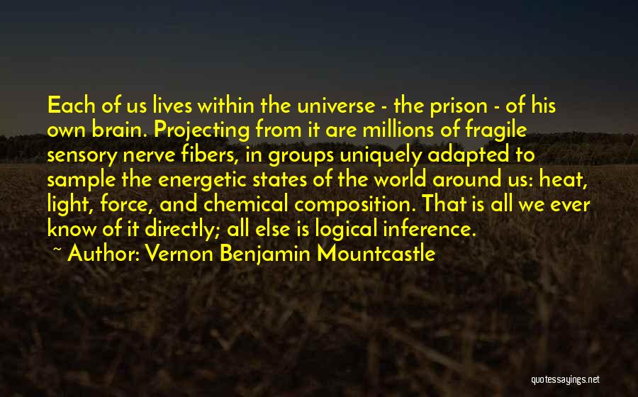 Universe Within Us Quotes By Vernon Benjamin Mountcastle