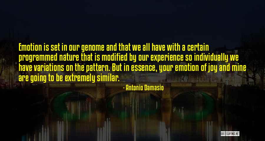 Universitas Sebelas Quotes By Antonio Damasio Universitas Sebelas Quotes By Antonio Damasio