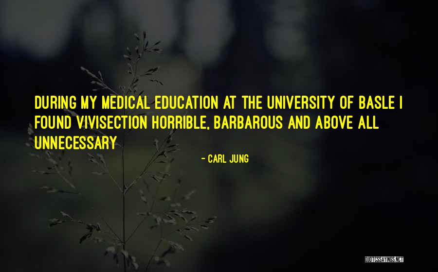 University Education Quotes By Carl Jung