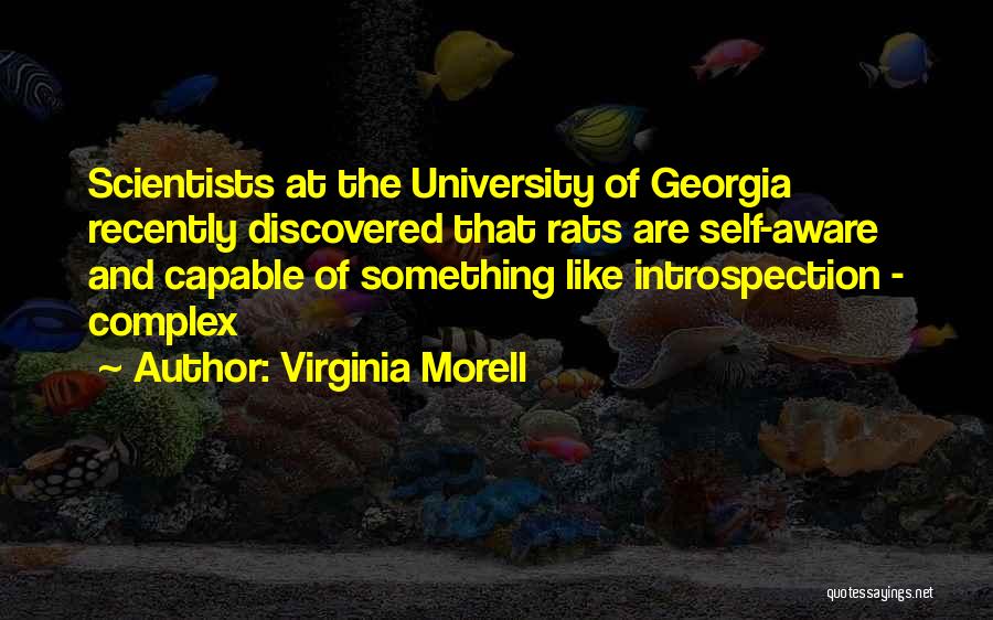 University Of Georgia Quotes By Virginia Morell