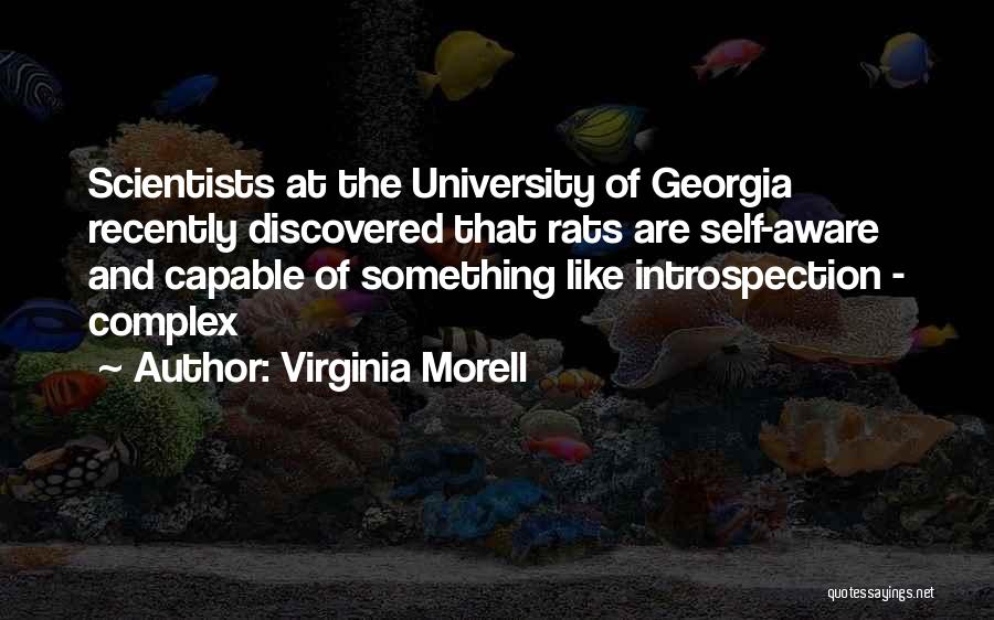 University Of Virginia Quotes By Virginia Morell