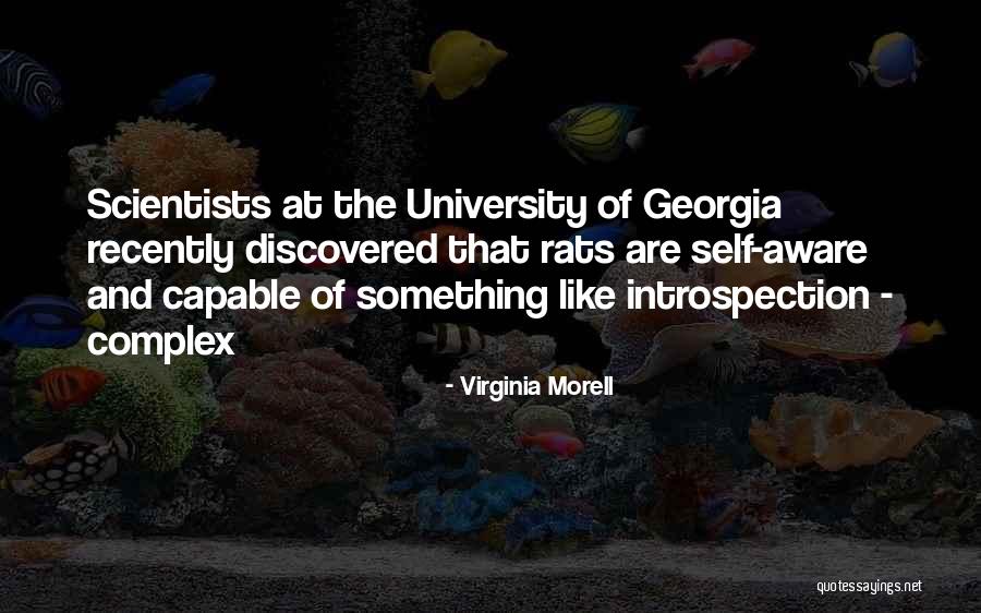 University That Quotes By Virginia Morell University That Quotes By Virginia Morell