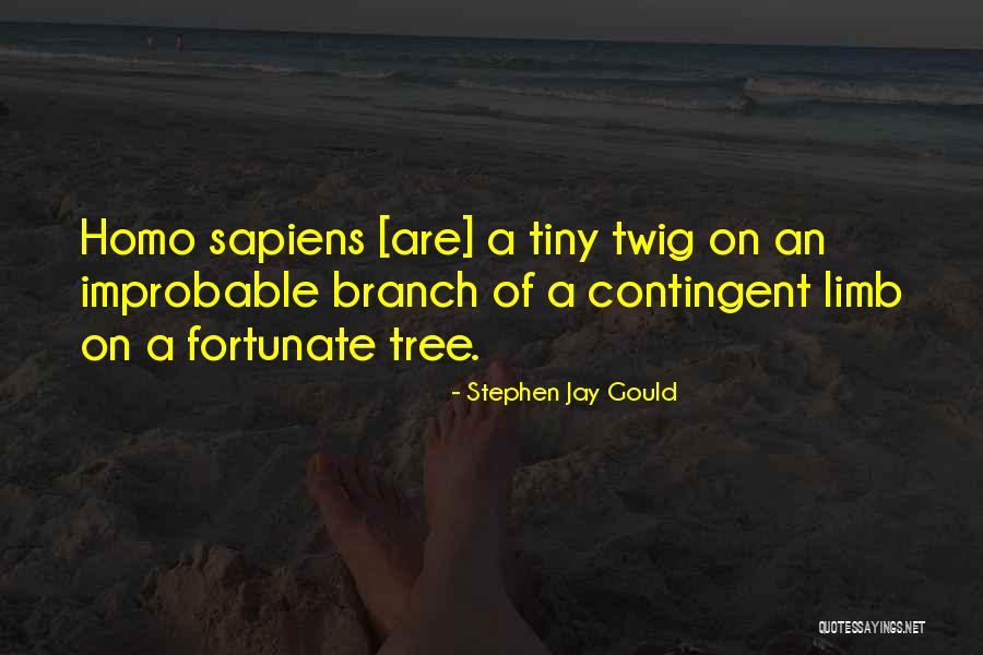 Univision En Quotes By Stephen Jay Gould Univision En Quotes By Stephen Jay Gould