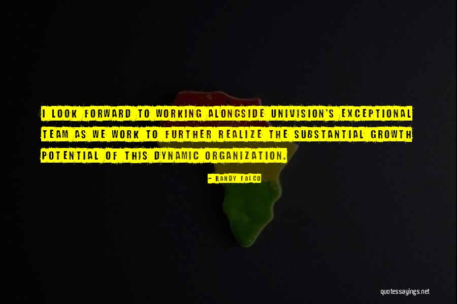 Univision Quotes By Randy Falco
