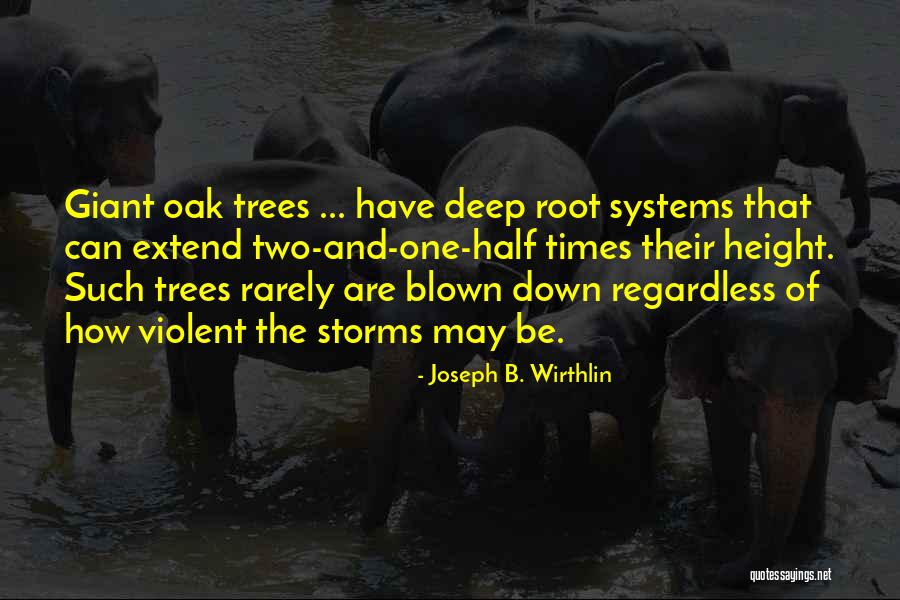Univoco Significato Quotes By Joseph B. Wirthlin Univoco Significato Quotes By Joseph B. Wirthlin