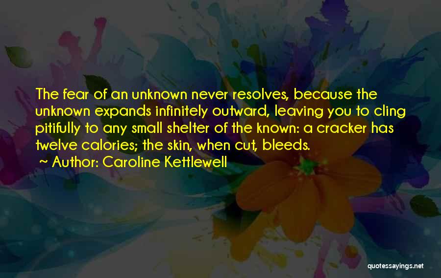 Unknown Fear Quotes By Caroline Kettlewell