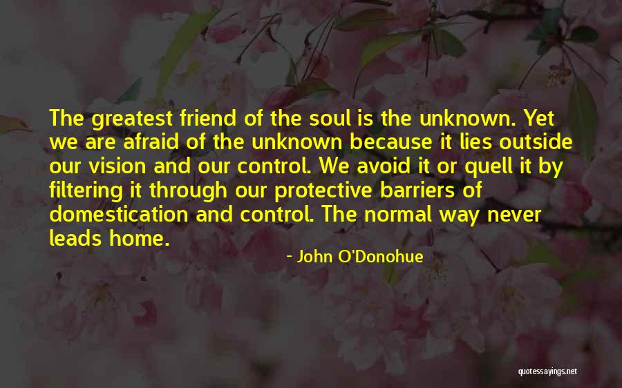 Unknown Friend Quotes By John O'Donohue