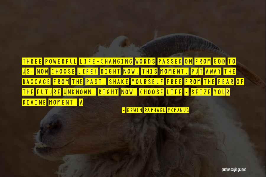 Unknown Future Quotes By Erwin Raphael McManus Unknown Future Quotes By Erwin Raphael McManus