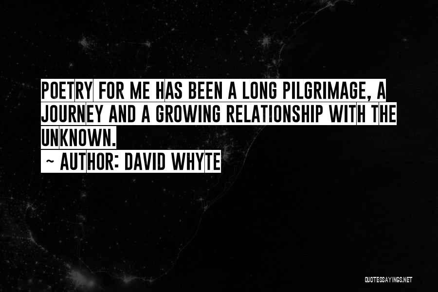 Unknown Journey Quotes By David Whyte