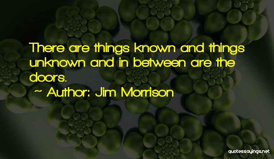 Unknown Known Quotes By Jim Morrison