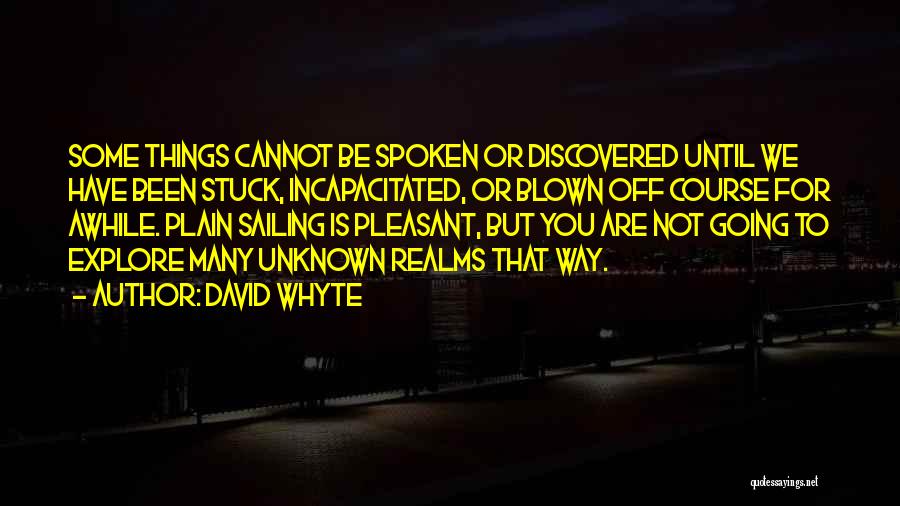 Unknown Life Quotes By David Whyte