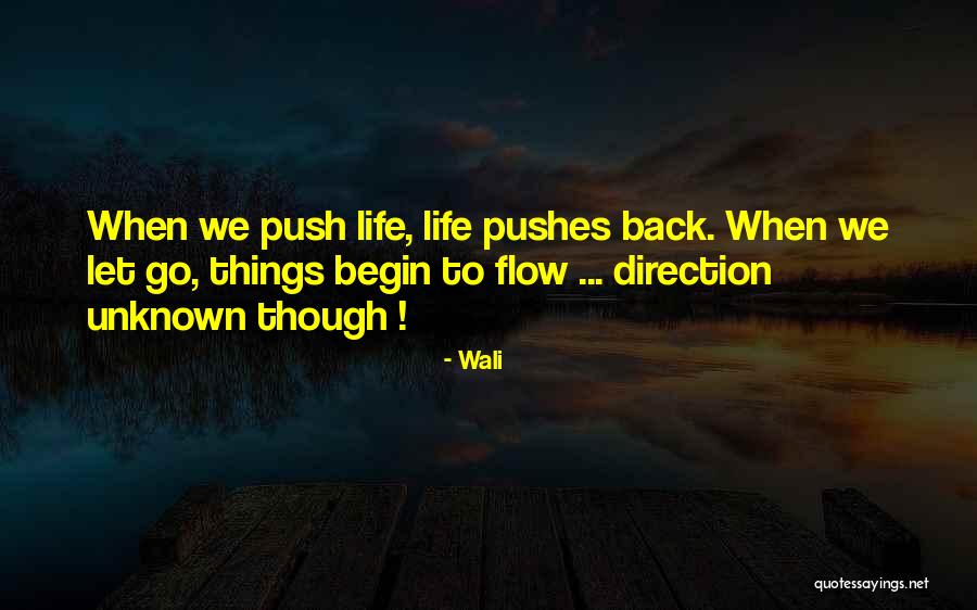 Unknown Life Quotes By Wali