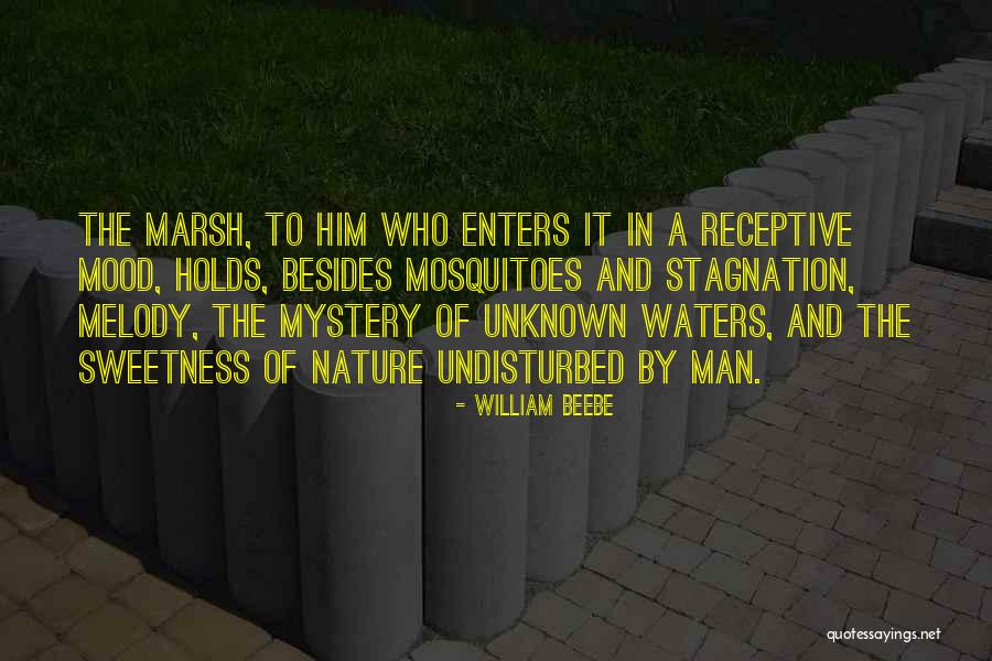 Unknown Nature Quotes By William Beebe Unknown Nature Quotes By William Beebe
