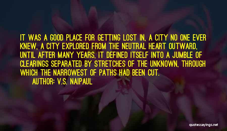 Unknown Paths Quotes By V.S. Naipaul