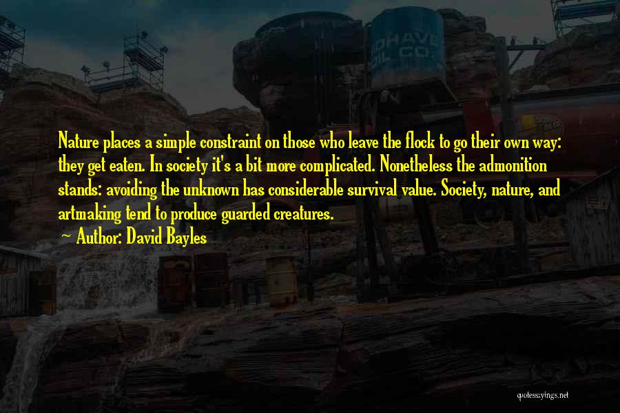 Unknown Places Quotes By David Bayles